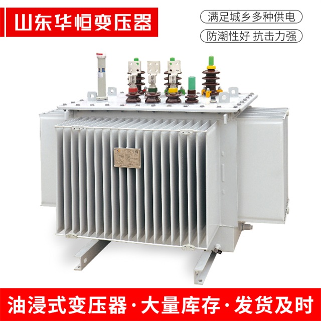 S13-10000/35乐昌乐昌乐昌电力变压器