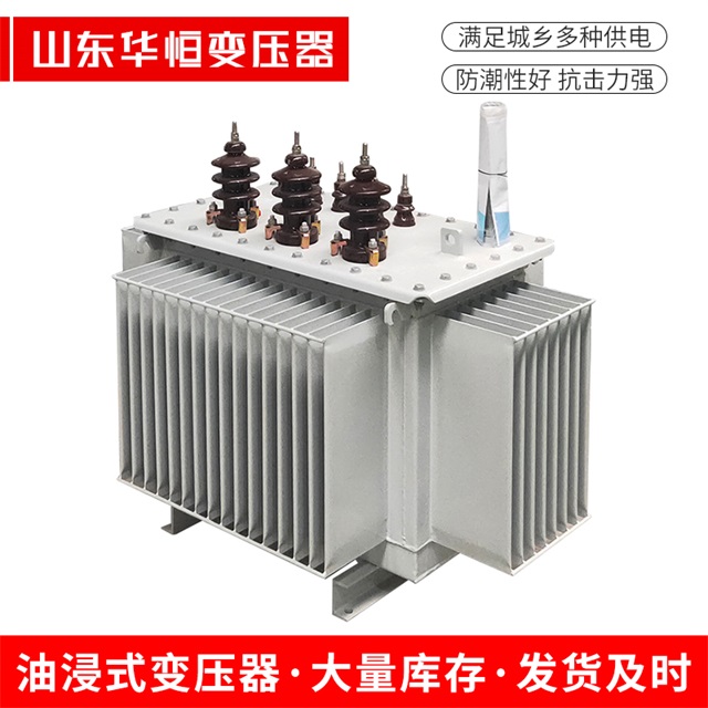 S13-10000/35乐昌乐昌乐昌油浸式变压器厂家